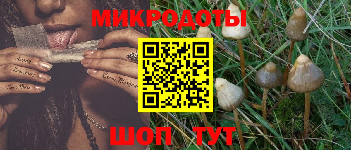 Галлюциногенные грибы Magic Shrooms Крымск
